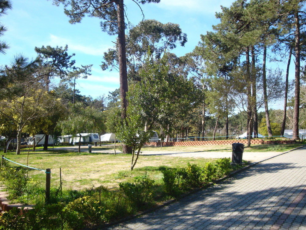 Hotel Parque De Campismo Orbitur Caminha Exteriér fotografie